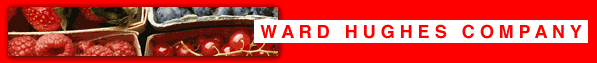 WARD HUGHES COMPANY 